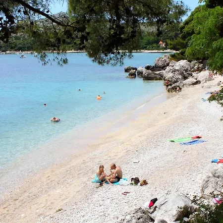게스트하우스 And With Parking Space Srebreno, Dubrovnik - 8959 믈리니