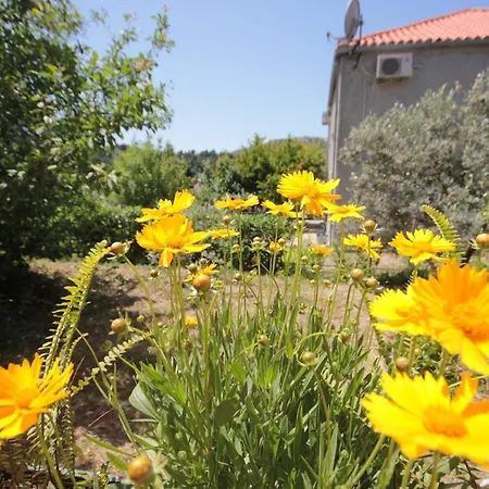 And With Parking Space Srebreno, Dubrovnik - 8959 Guest house