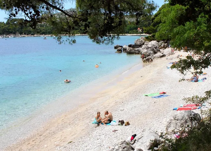 게스트하우스 And With Parking Space Srebreno, Dubrovnik - 8959 믈리니