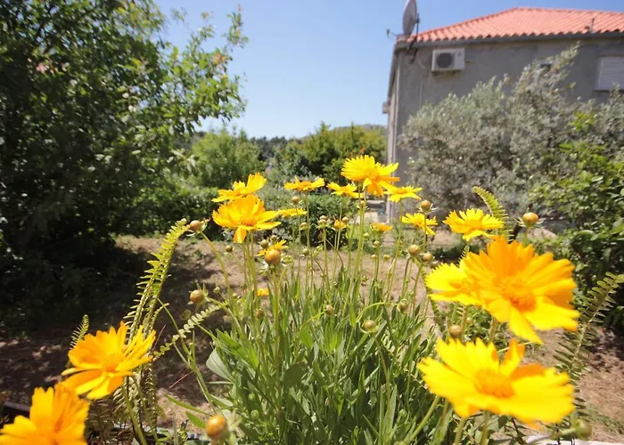 And With Parking Space Srebreno, Dubrovnik - 8959 Guest house